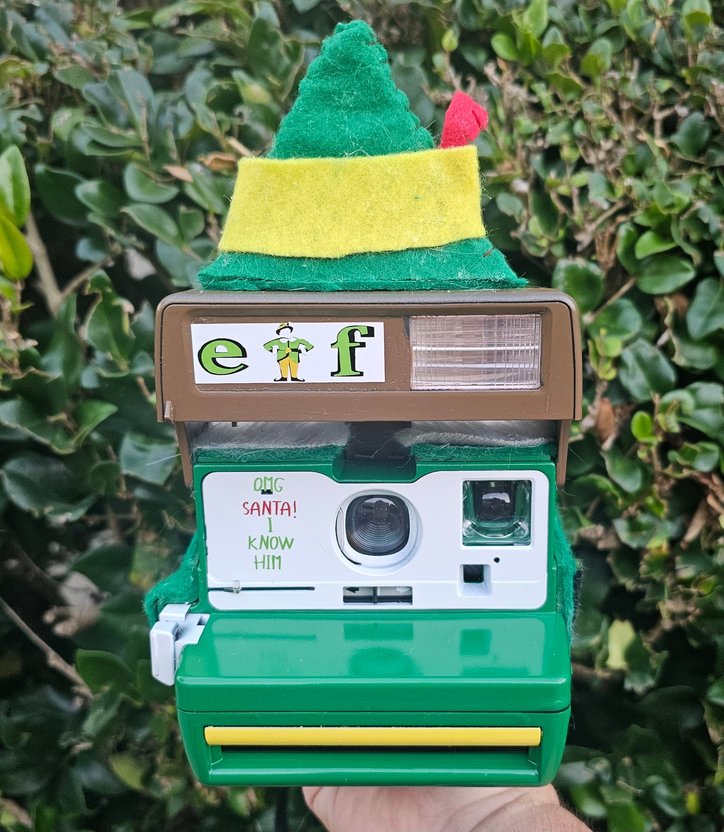 Elf Polaroid