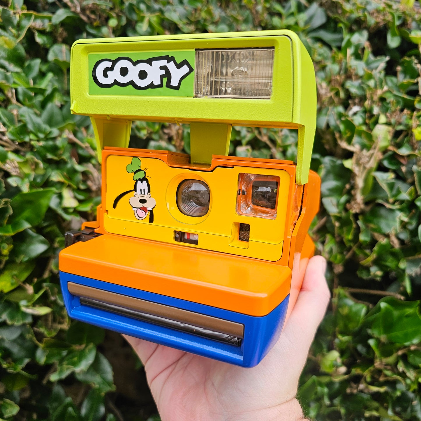 Goofy Polaroid Camera