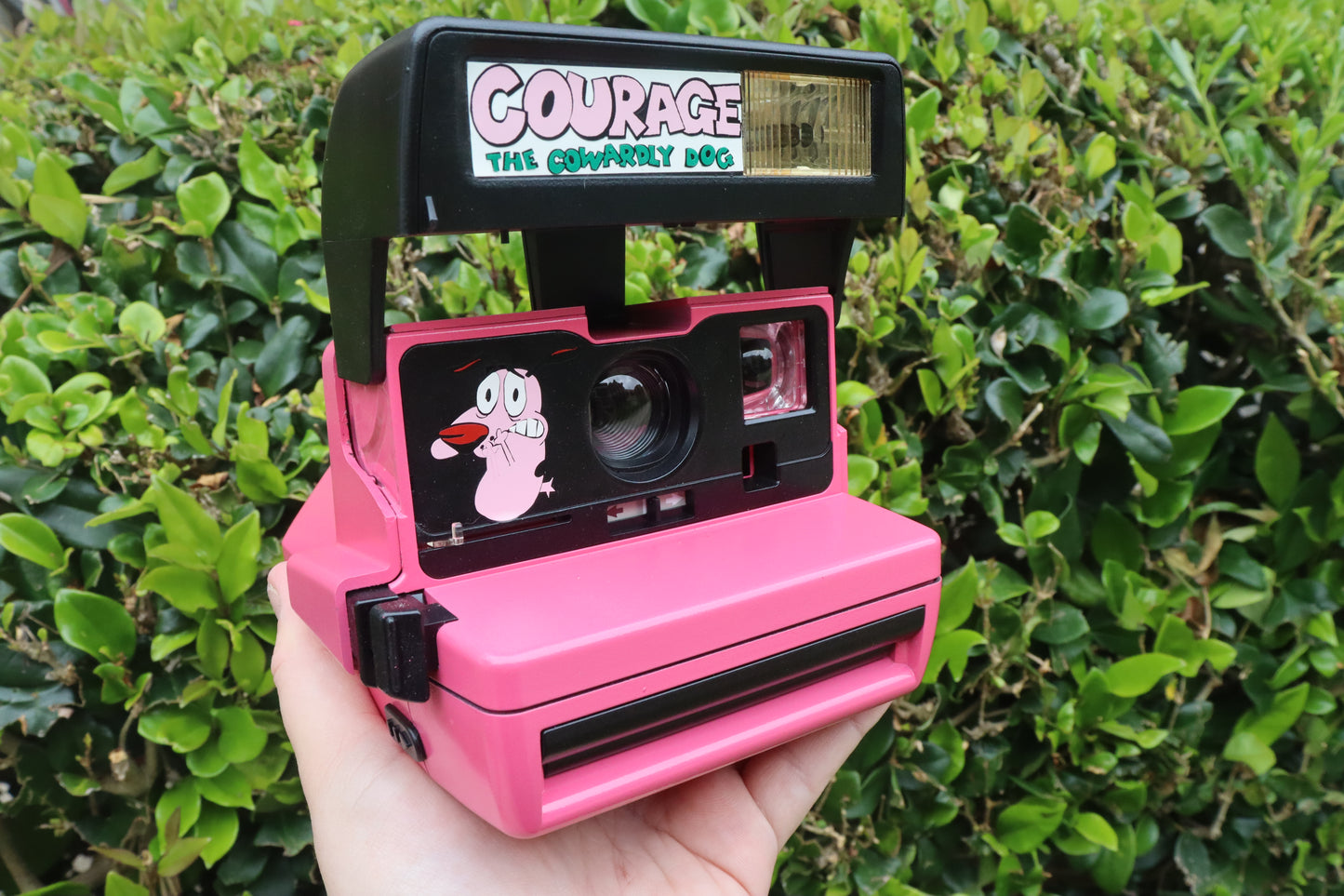 Courage The Cowardly Dog Polaroid Camera