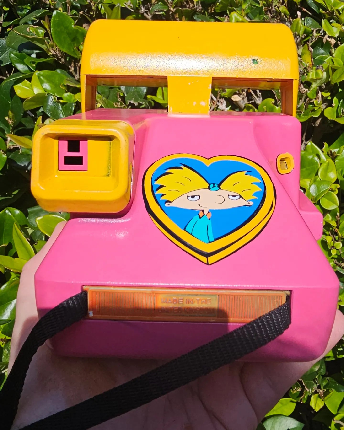 Hey Arnold Polaroid Camera