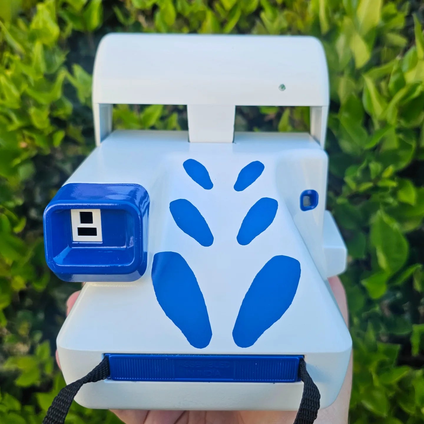 Lugia Polaroid Camera